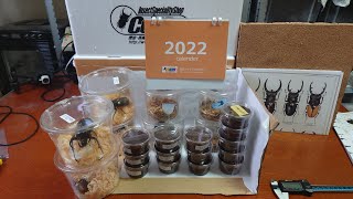 【2022年】1万円の昆虫福袋を開封したら凄かった！