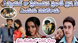 Trisha Krishnan  Love affair in Cinema industry||Unknown Facts||త్రిష జీవితంలో చీకటి కోణాలు||By SG