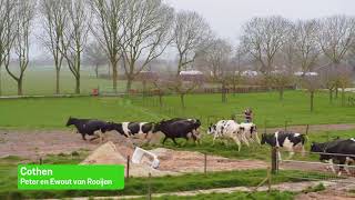 Eerste lentedag 2020 - FrieslandCampina