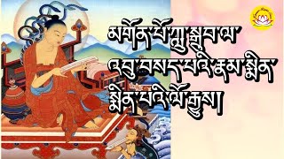 H.E. Pema Rigsal Rinpoche’s speech the history of the nagarjuna killed insect #rumtekkarmaekhenpo