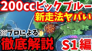 【最新版】現役200㏄プロが徹底解説！200㏄ビッグブルータイムアタック解説Section１編【マリオカート８デラックス】