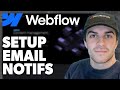 How to Set up Email Notifications for Form Submissions in Webflow (2024 Guide)