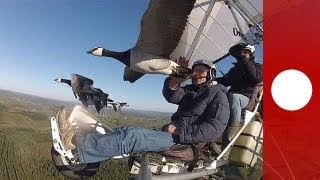 Voler avec les Oiseaux - science