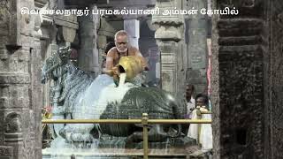 சிவசைலநாதர் பரமகல்யாணி அம்மன் கோயில் I சிவசைலம் கோயில் I Tenkasi I Alavarkuruchi I