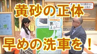 【黄砂の正体 早めの洗車を！】防災ラボ（テレポートプラス３月３１日放送）