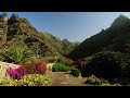 Barranco del Rio | Anaga | Punta del Hidalgo | Tenerife [4K] Teneriffa | San Cristóbal de La Laguna