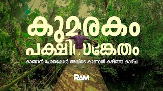 കുമരകം പക്ഷിസങ്കേതം | KUMARAKOM BIRD SANCTUARY | HD 1080p |  ram junior vlogs