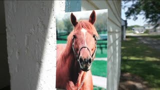 How Ashland is celebrating Secretariat Day on Sunday