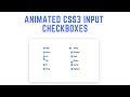 Animated CSS3 Input Checkboxes For Your Next Project - CSSCasts