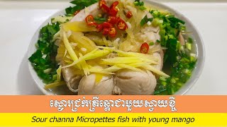 វិធីចម្អិន ស្ងោរជ្រក់ត្រីឆ្តោជាមួយស្វាយខ្ចី How to cook Sour fish with young mango 🥭