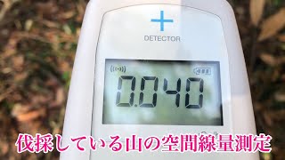 伐採している山の放射線量測定（薪ストーブの薪と灰の放射線量を測定の補完）