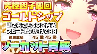 【ウマ娘】ゴールドシップ因子周回！因子周回しかしてない人のストレスたまらないメイクラSS因子周回ド安定方法！【因子厳選/因子周回/新シナリオ/メイクラ/グランドライブ】