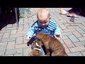 cute babies and dogs playing together funny baby u0026 dog compilation