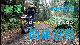 オンロードバイク（ツーリングバイク）で林道を走る時の簡単姿勢　Kawasaki W650スクランブラー編　GoPro8バイク動画撮影　スマホバイク動画　ミシュランアナーキワイルド　Vol.9