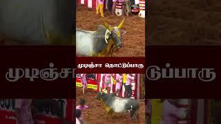 மல்லிப்பூ வச்சு மாடு நல்லா நிண்டு விளையாடுது | Alanganallur Jallikattu 2024 | Kumudam Reporter