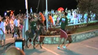 Tisno, donkey racing,  Croatia