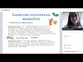 Инфекционный процесс