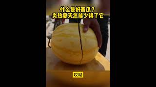 什么样的西瓜最好吃？#西瓜