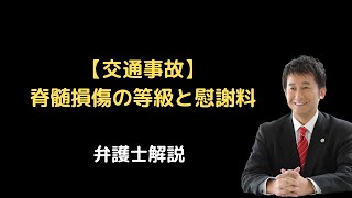 【交通事故】脊髄損傷の等級と慰謝料。弁護士解説。