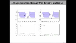 Bayesian Optimization with Gradients (NIPS 2017 Oral)