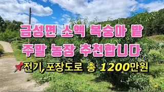 151번👩🏻‍🌾소액 복숭아 밭 주말농장 하기 좋은 곳 #의성땅매매 #의성싼땅 #의성싼땅 #의성주말농장지 #의성주말농장 #의성부동산 #의성땅매물 #의성군땅 #의성땅