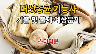 [07편, 마지막편]2024~2025년 최신판 버섯종균기능사 필기시험 기출 및 예상문제