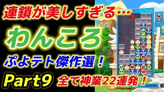 わんころ傑作選Part9 【ぷよぷよテトリス】神業連鎖連発！