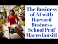 The Business of AI with Harvard Business School Prof Marco Iansiti