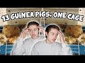 Rescuing 13 Guinea Pigs Living in ONE Cage! 😨😱