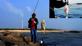 Super fishing spot in Chennai | கரையில் இருந்து மீன் பிடிக்க சென்னையில் சிறந்த இடம் #fishing