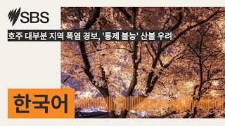 호주 대부분 지역 폭염 경보, '통제 불능' 산불 우려 | SBS Korean - SBS 한국어 프로그램