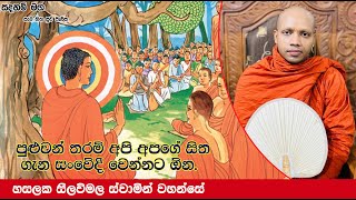 පුළුවන් තරම් අපි අපගේ සිත ගැන සංවේදී වෙන්නට ඕන.1861Ven Hasalaka Seelawimala Thero