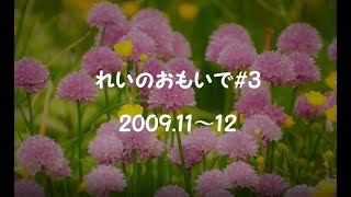 れいのおもいで#3　9歳文鳥の介護