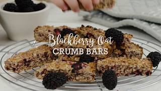 Biona Kitchen - Oat Crumb Bars