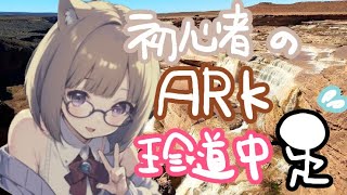 【ARK うどん鯖】満を持して、ARKに参戦！新人はしゆきの島生活 [ワイバーン凸、バジリスク凸編]#11【天才最強初心者清楚はしゆき】