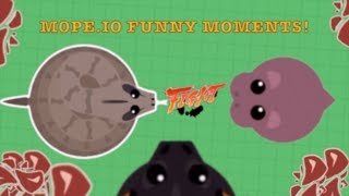 Mope.io - NEW GLITCH!? + Mini Update!!! (Mope.io Trolling and Funny Moments!)