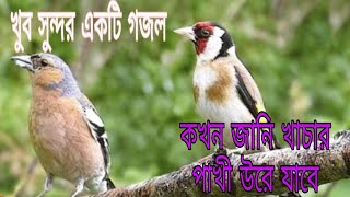 কখন জানি খাচার পাখী উরে যাবে শূন্য খাচা শুধু একা পরে রবে বাংলা গজল