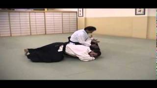 Two Hand Grip Arm Bar