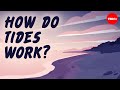 Why are there two tides a day? - Elise Cutts
