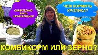 Комбикорм или зерно чем кормить кролика? Вред комбикорма. ЗА и ПРОТИВ. Кролики.