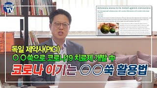 [김성호 박사의] 독일 제약사 개똥쑥으로 코로나19 치료법 개발 中 !! 코로나를 이기는 개똥쑥 활용법 #개똥쑥 #코로나 #염증완화 #항암 #항균