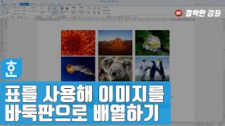 표를 사용해 이미지를 바둑판으로 배열하기 #한글문서작성실무