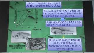 サイエンティスト・トーク「完全養殖～天然資源にたよらない養殖研究の最前線～」