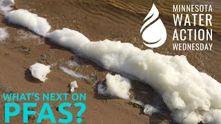 Minnesota Water Action Wednesday 2: What's Next on PFAS?