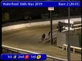 igb gain greyhound nutrition open unraced round 1 heat 1 16 03 2019 race 2 waterford