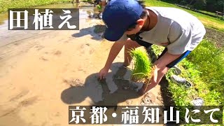 【田植え】京都・福知山にて家族で田植え体験