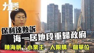 保利達敗訴 海一居地段重歸政府 陳海帆：小業主一人限購一個單位