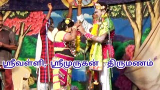 ஸ்ரீ வள்ளிக்கும் ஸ்ரீமுருகனுக்கும் திருமணம். மிஸ் பண்ணாமல் பாருங்க.