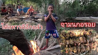 พรานพาลงป่ายู่ดีๆได้หมู่ป่า//ທີມງານໄດ້ນົກຕອນເຊົ້າ