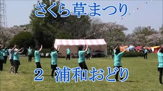 【浦和おどり】都はるみ　2024年さくら草まつり民踊大会２　盆踊り　埼玉県さいたま市